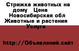 Стрижка животных на дому › Цена ­ 700 - Новосибирская обл. Животные и растения » Услуги   